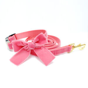 velvet bow dog collar in pink