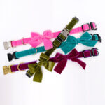 Velvet Bow Dog Collar