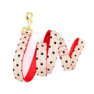 Dottie Leash Canvas Valentines Polka Dots