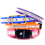 Fi Compatible Waterproof Engraved Reflective Dog Collar - Belt Buckle