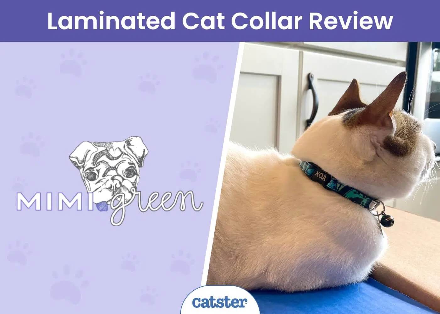 Mimi-Green-Laminated-Cotton-Cat-Collar-featured-image Catster Magazine Review