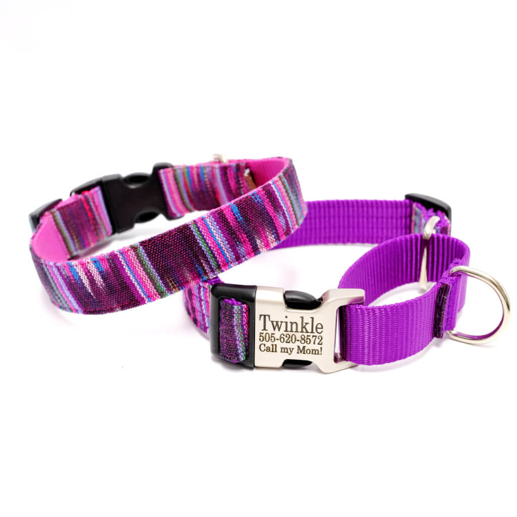 Purple guatemalan martingale dog collar concha