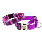 Concha Guatemalan Fabric Martingale Dog Collar