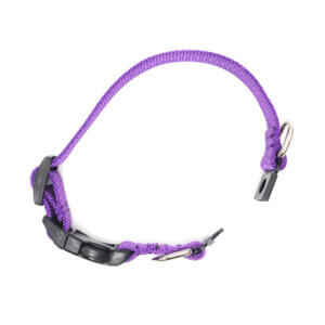 Purple Reflective Breakaway Collar