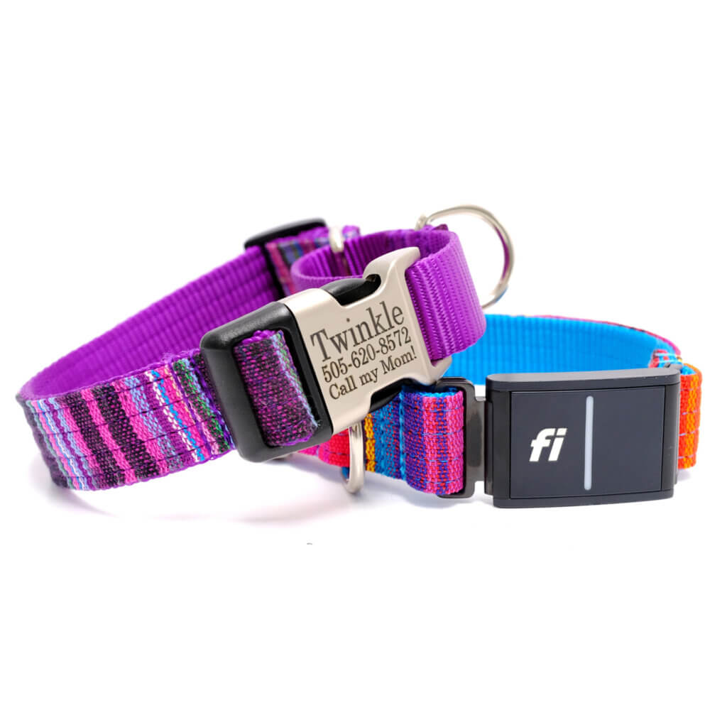 beach blanket fi dog collar personalized