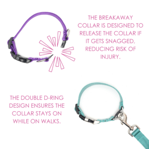 breakaway collar explainer chart