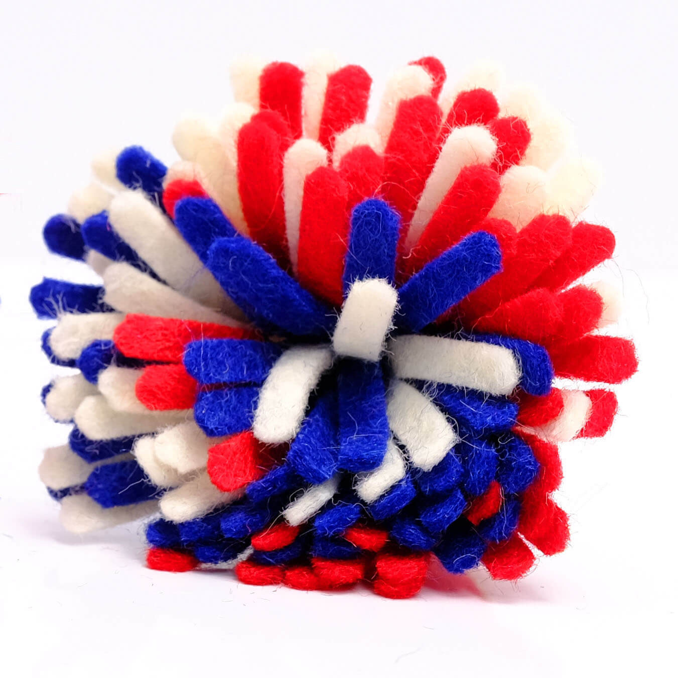 firecracker dog collar flower