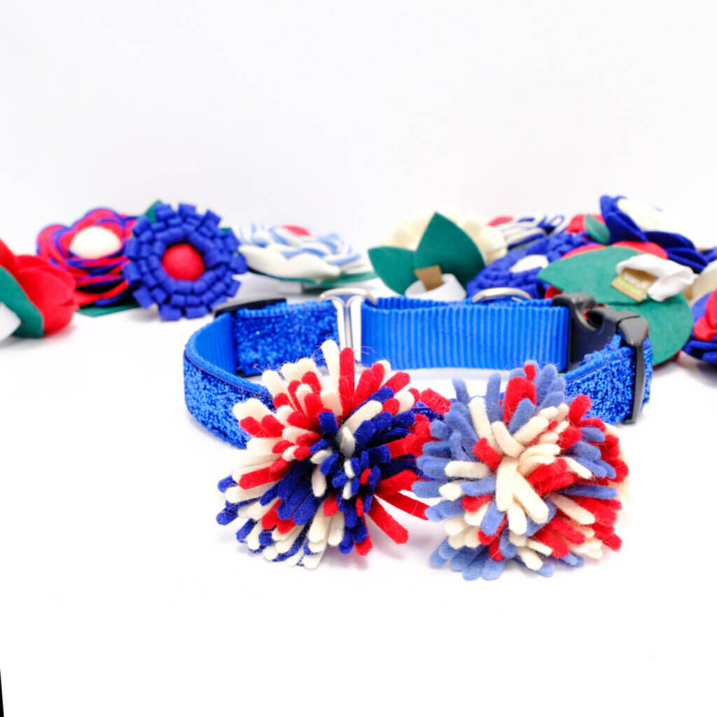 firework dog collar accessory