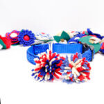 Firework | Fourth of July Dog Collar Accessory