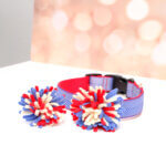 Firework | Fourth of July Dog Collar Accessory