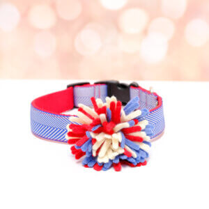 fireworks dog collar 4th of july