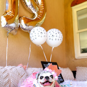 grandma willie outside pug in pearl collar