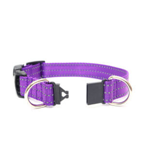nylon reflective buckle breakaway collars