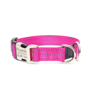 nylon reflective buckle breakaway collars