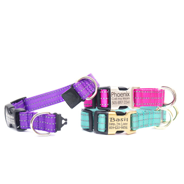 nylon reflective buckle breakaway collars