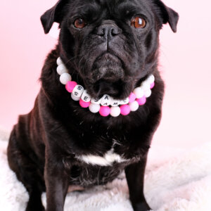 pug pearl necklace dog collar