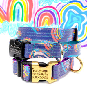 rainbow dog collar engraved with name