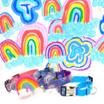 Rainbow Laminated Cotton - Personalized Martingale Dog Collar