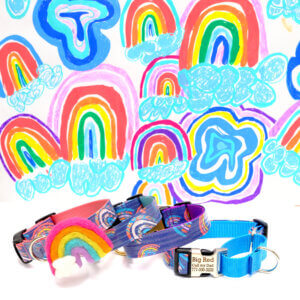 rainbow dog collar martingale