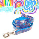 Rainbow Dog Leash - Laminated Cotton