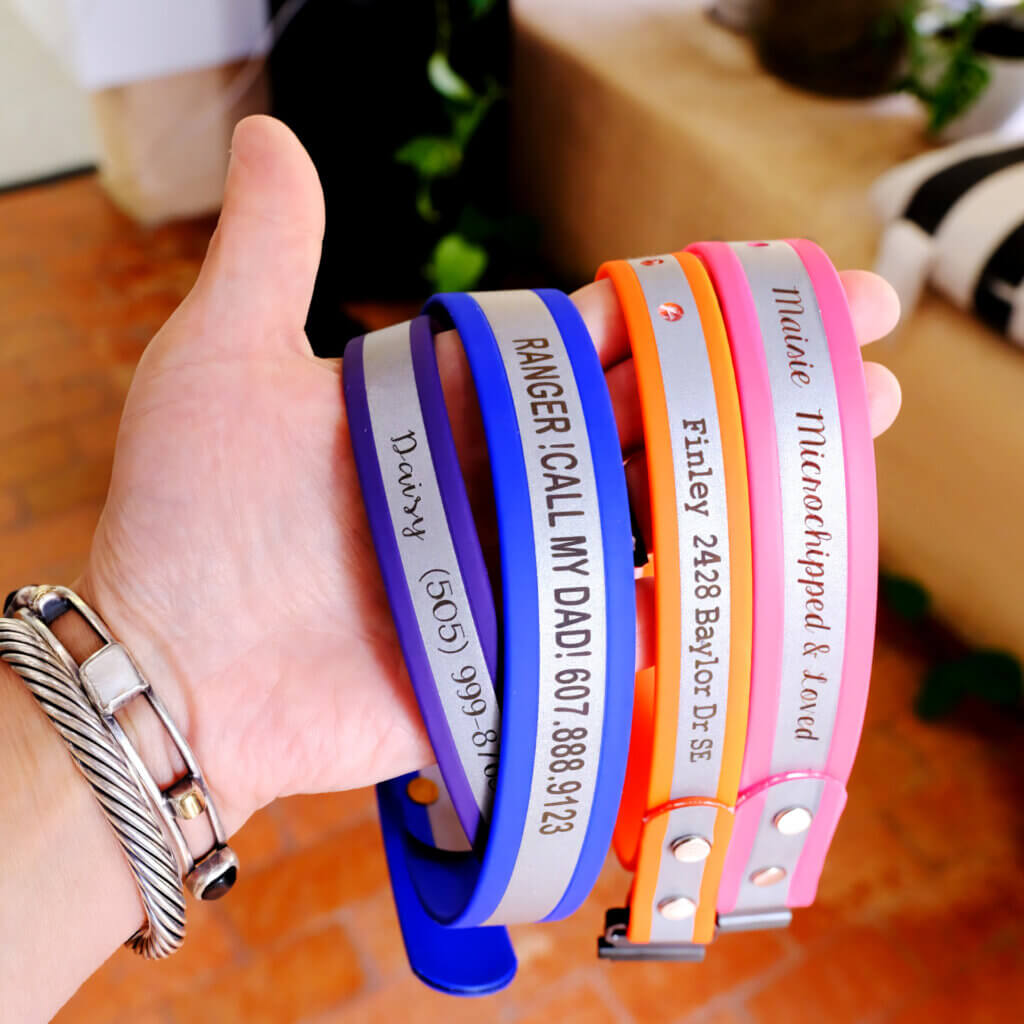 reflective dog collar with ID info engraved