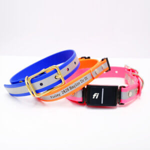 reflective fi dog collar custom biothane