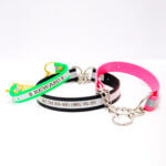 Matte Reflective Waterproof Martingale Dog Collar w/ Engraved Collar