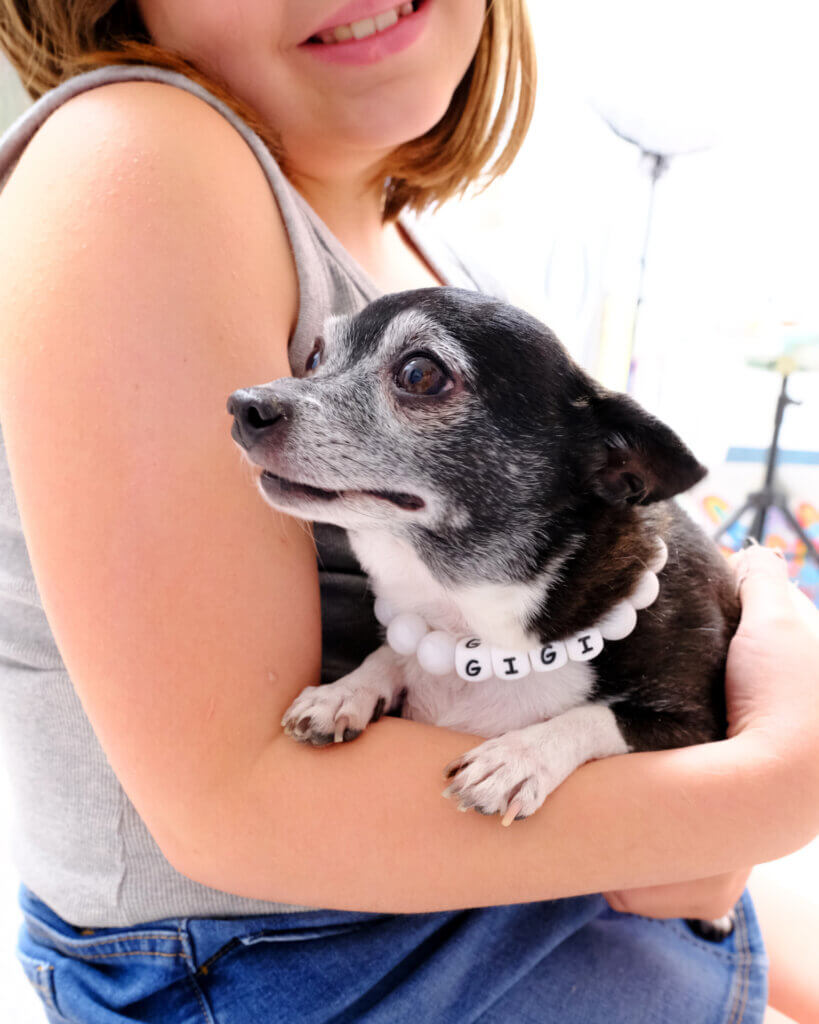 senior dog with pearl necklace gigi