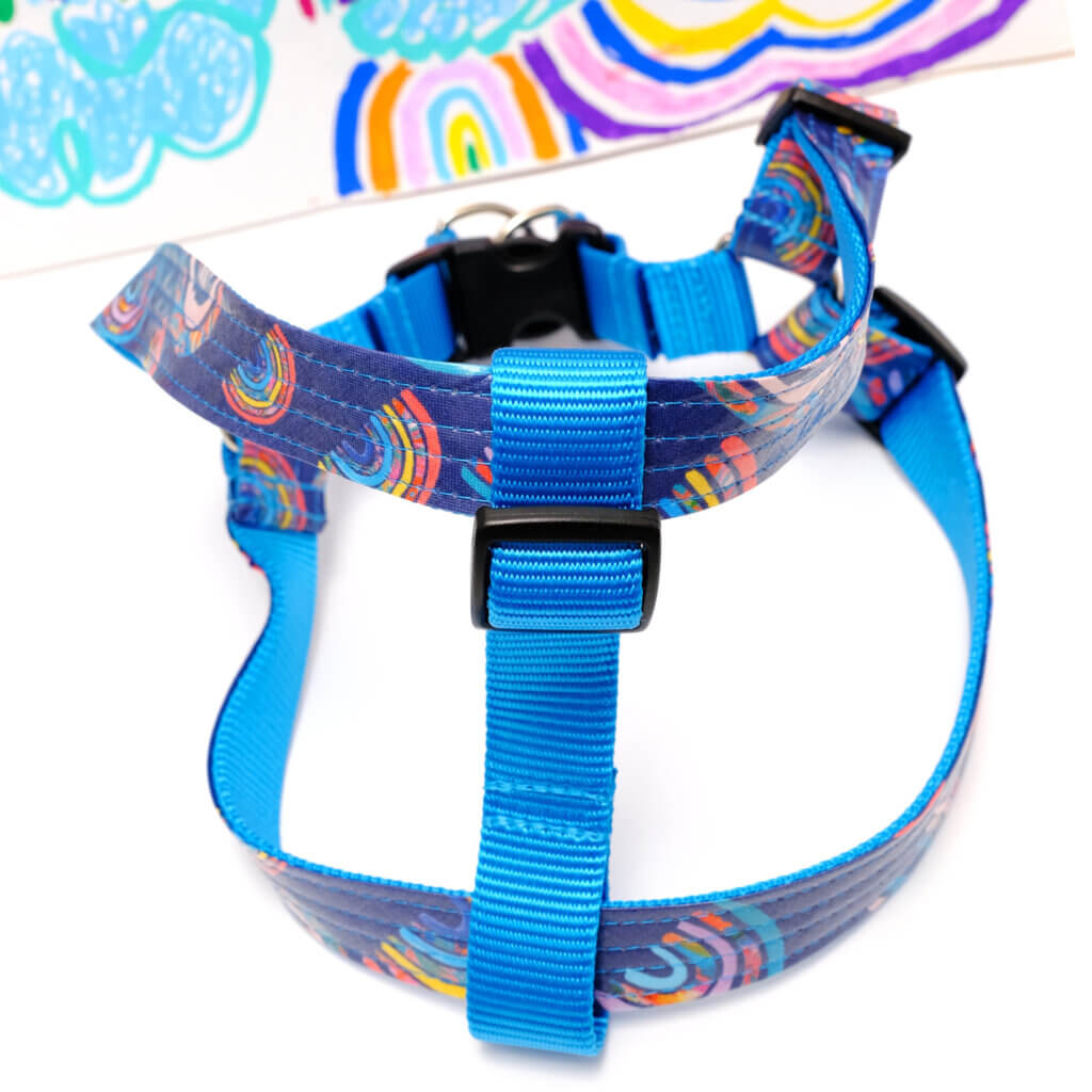 step in harness rainbow print