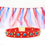 Fourth of July Waterproof Dog Collar | ‘Durango Kid’ Studded
