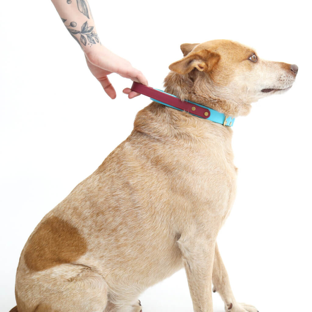 fox in waterproof handle collar