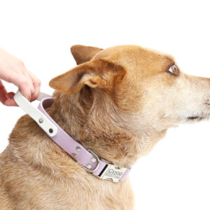 fox in waterproof handle collar