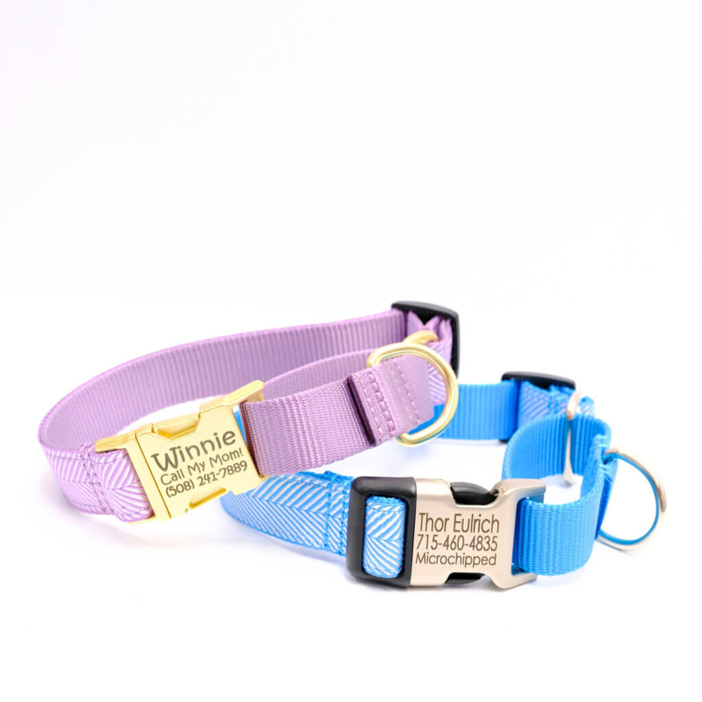 herringbone martingale dog collars personalized