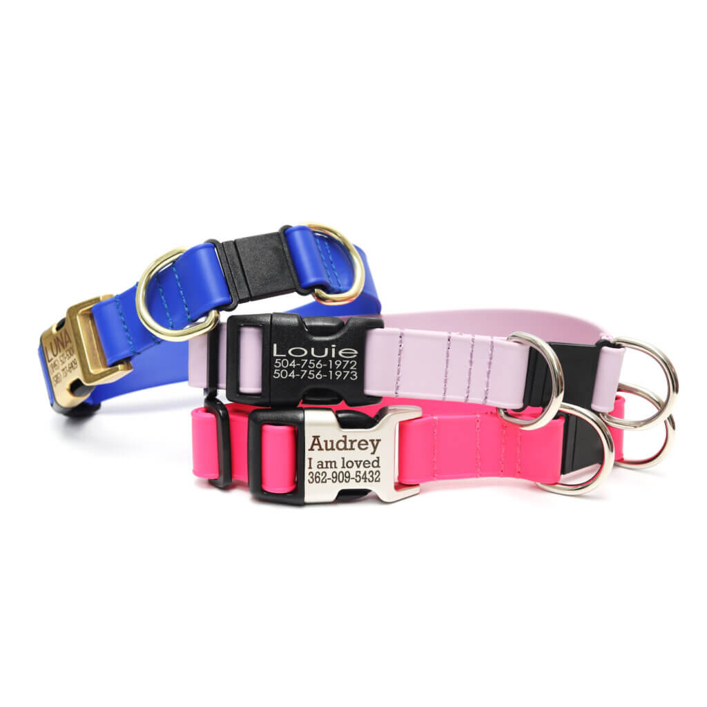 lightweight biothane buckle breakaway collar waterproof