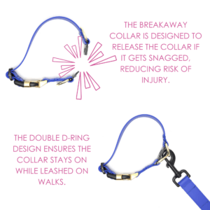 lightweight biothane buckle breakaway collar (chart)