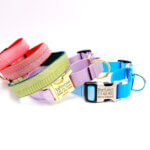 Personalized Herringbone Martingale Dog Collar