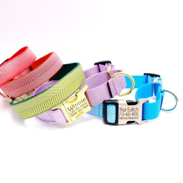 martingale dog collar herringbone pattern