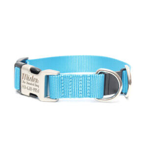 nylon buckle breakaway collars blue