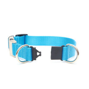 peacock breakaway dog collar