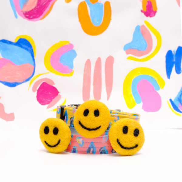 smiley face dog collar accessory