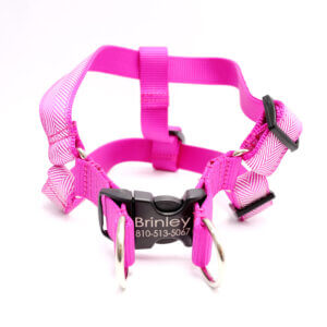 step in magenta pink dog harness personalized