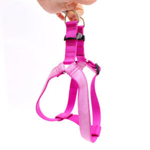 step in magenta pink dog harness personalized