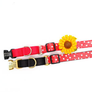 Minnie Martingale Collar Flat