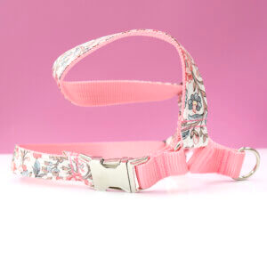 Pink Jane Austen laminated dog harness Emma
