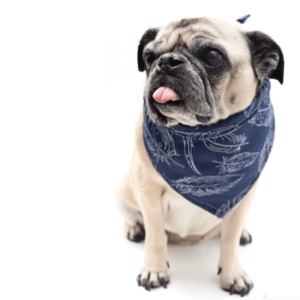 best fabric for dog bandanas guide