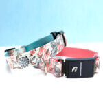 Emma Floral Fi Compatible Dog Collar | Laminated Cotton