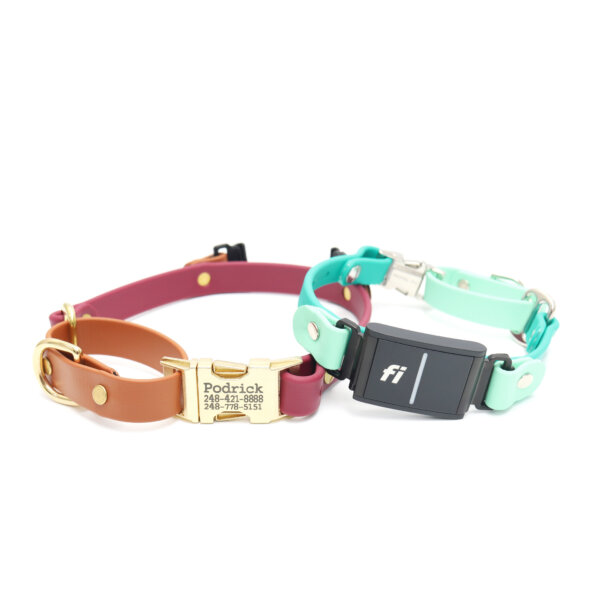 fi compatible waterproof martingale loop buckle collars