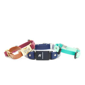 fi compatible waterproof martingale loop buckle collars