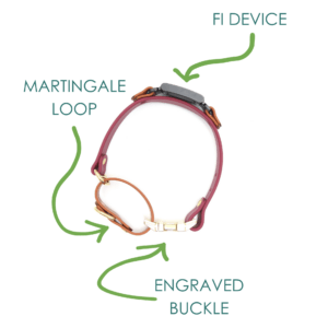 fi compatible waterproof martingale loop buckle collars (chart)
