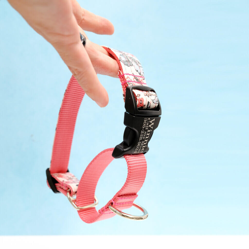 martingale dog collar feminine florals emma